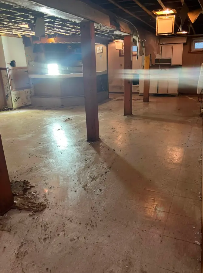 Finished basement cleared after cleanout