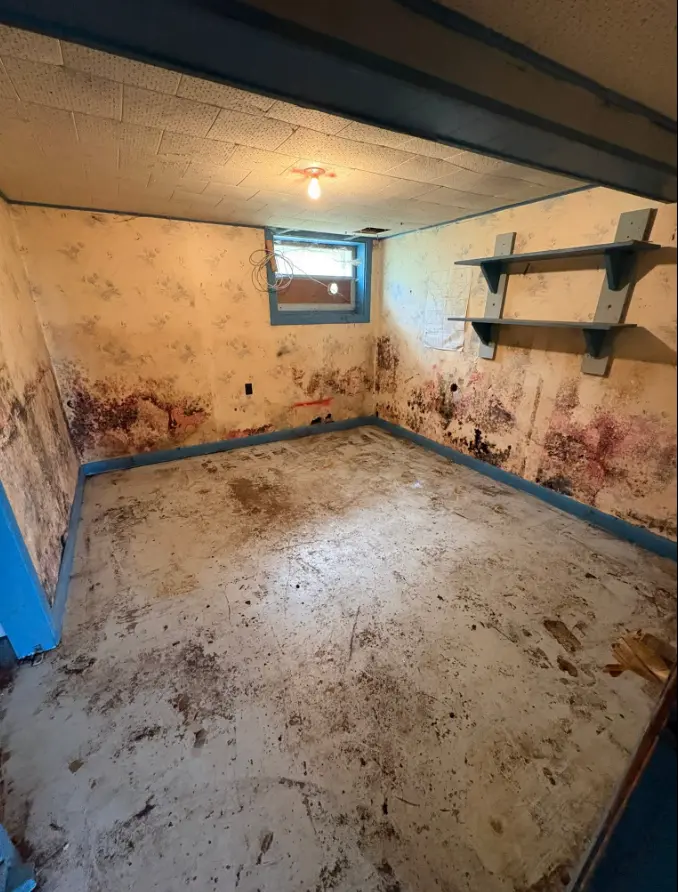 Basement room cleared after cleanout
