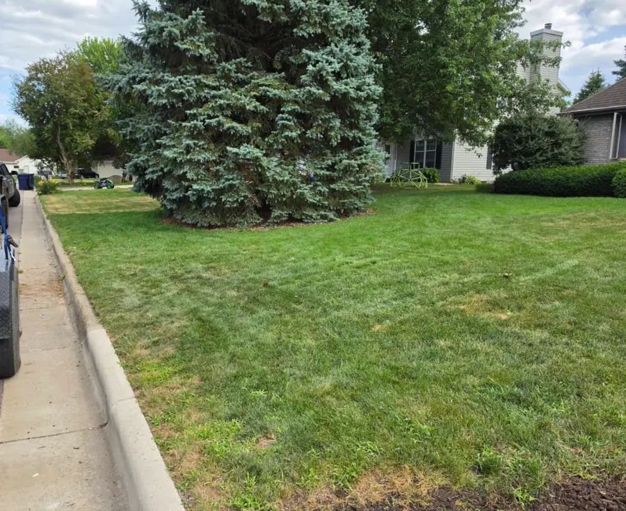 Lawn cleared after deck debris haul-away