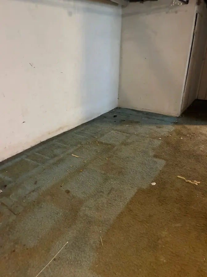 Basement cleared after estate cleanout