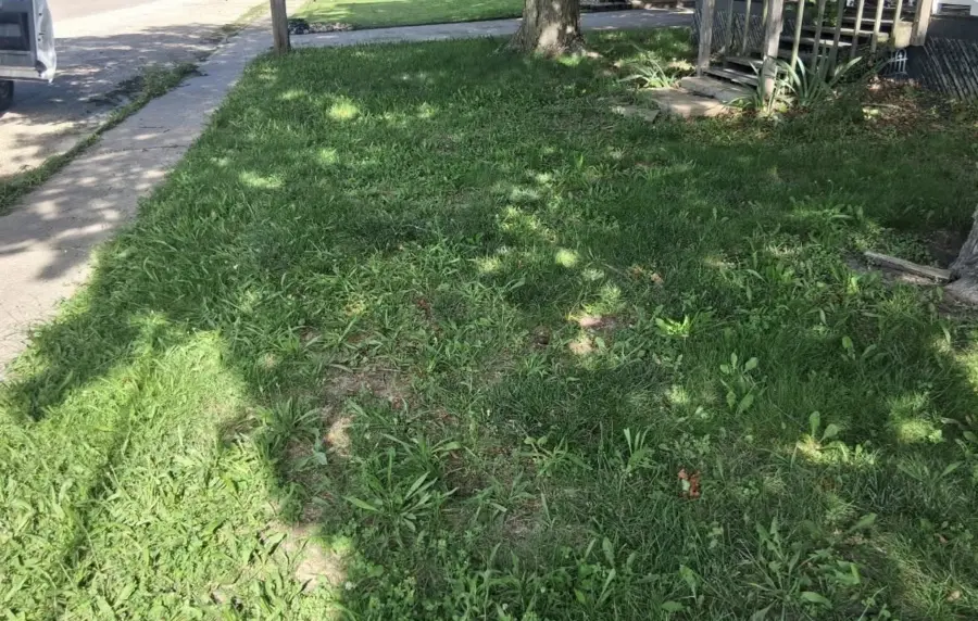 Yard cleared after curbside sofa pickup