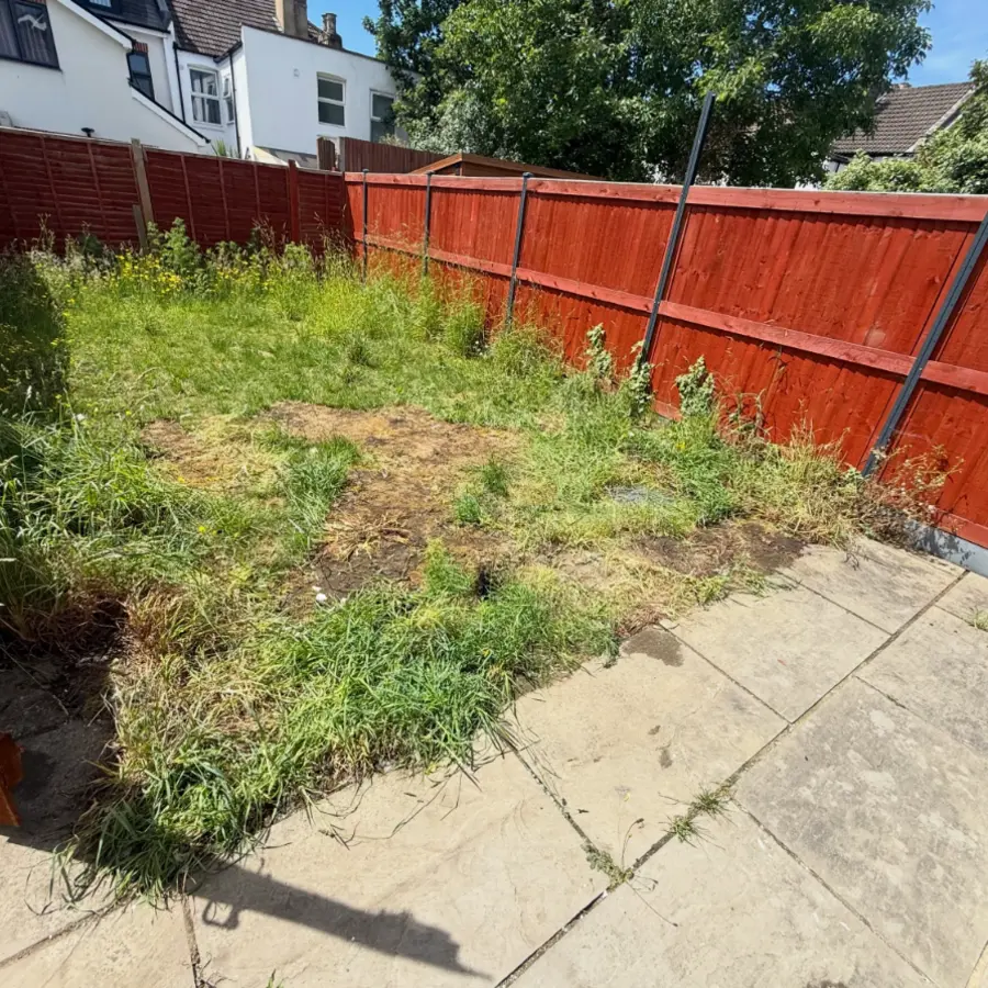Outdoor area cleared after mattress pickup