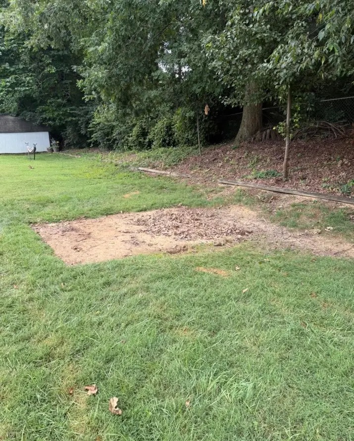 Grass yard cleared after metal shed removal