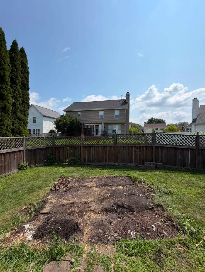 Fenced backyard cleared after wood shed removal