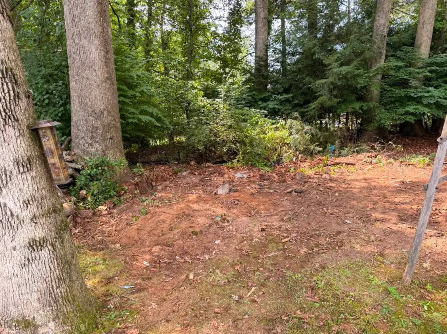 Wooded yard cleared after old shed removal