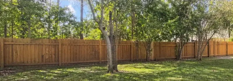Backyard cleared after branches and brush were removed