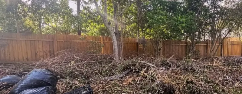 Backyard covered with cut branches before a JRT yard waste pickup